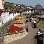 Flowers in Cobh