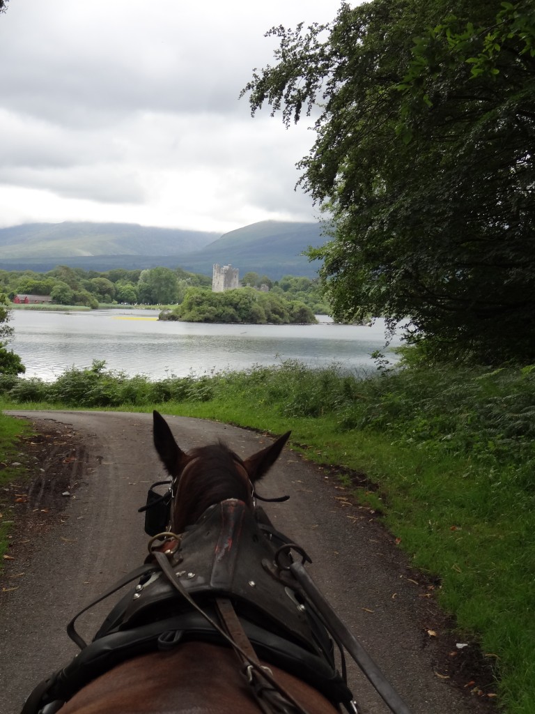 Horse and cart jaunting trip near Killarney